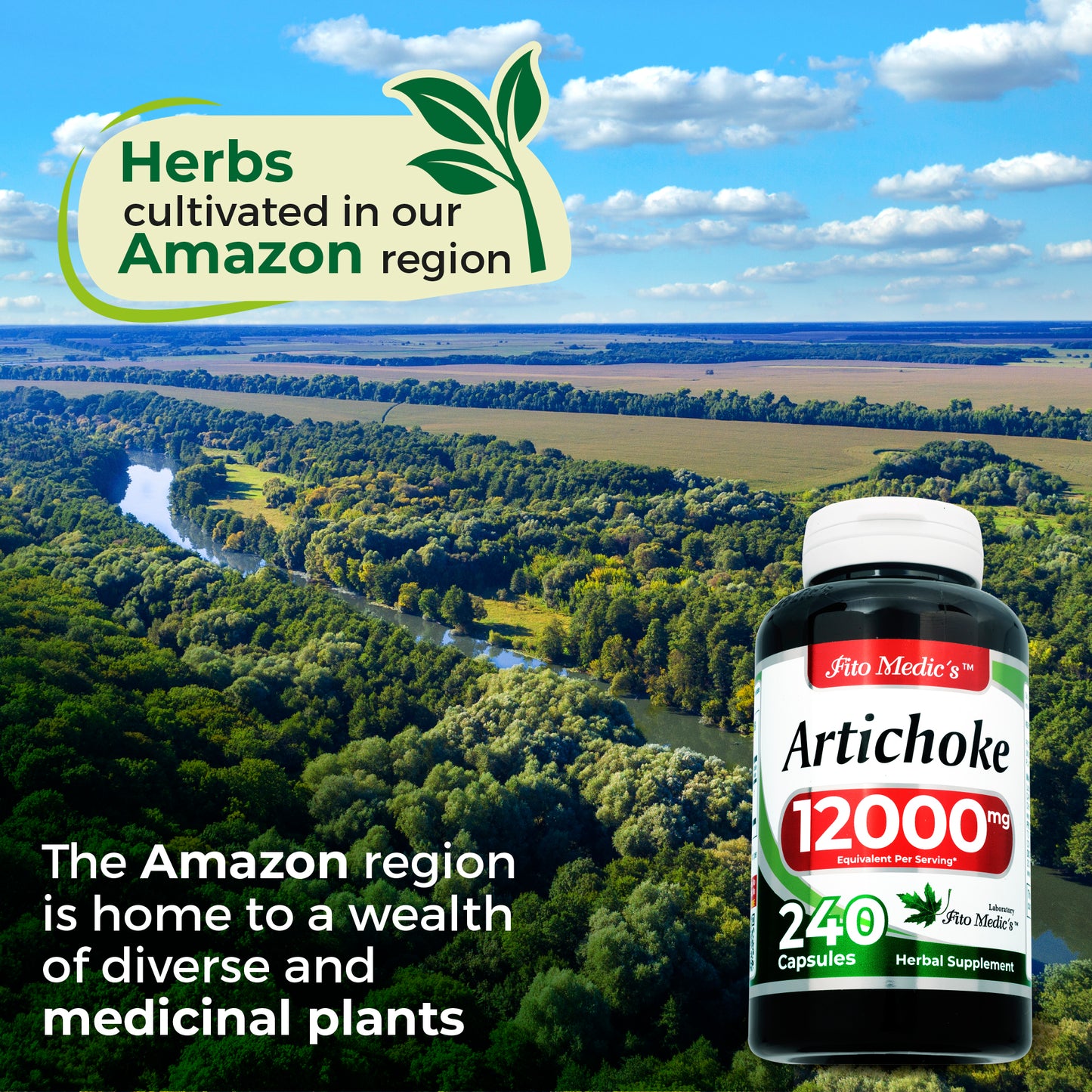 Artichoke extract | 240 capsules |12000 mg | Ultra High Absorption