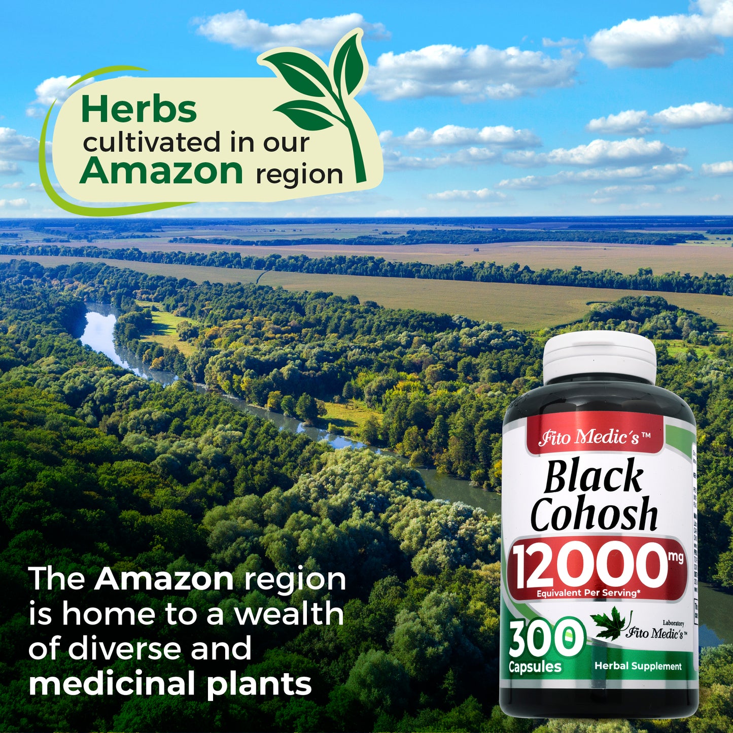 Black Cohosh Root Extract 12000 mg Equivalent, Herbal Supplement for Women, 300 Capsules