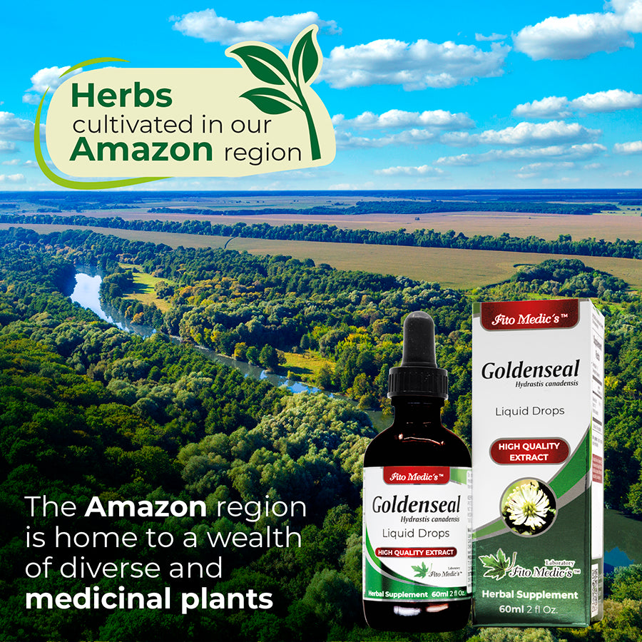 Goldenseal Drops Extract 60ml Ultra high Absorption