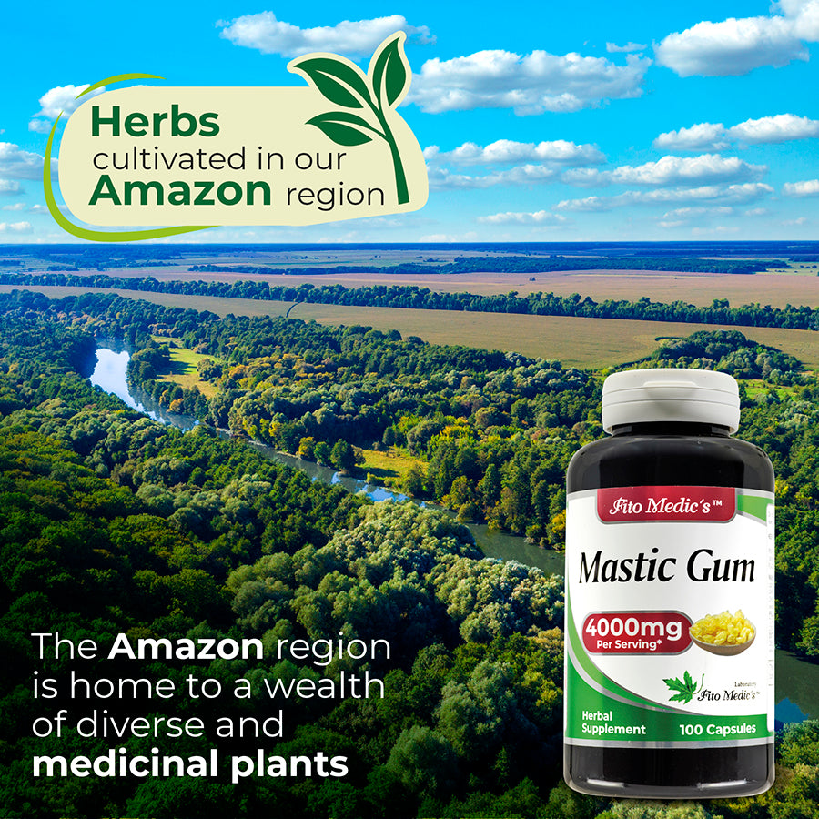Mastic Gum – 4000 mg per Serving - 100 capsules - Ultra High Absorption