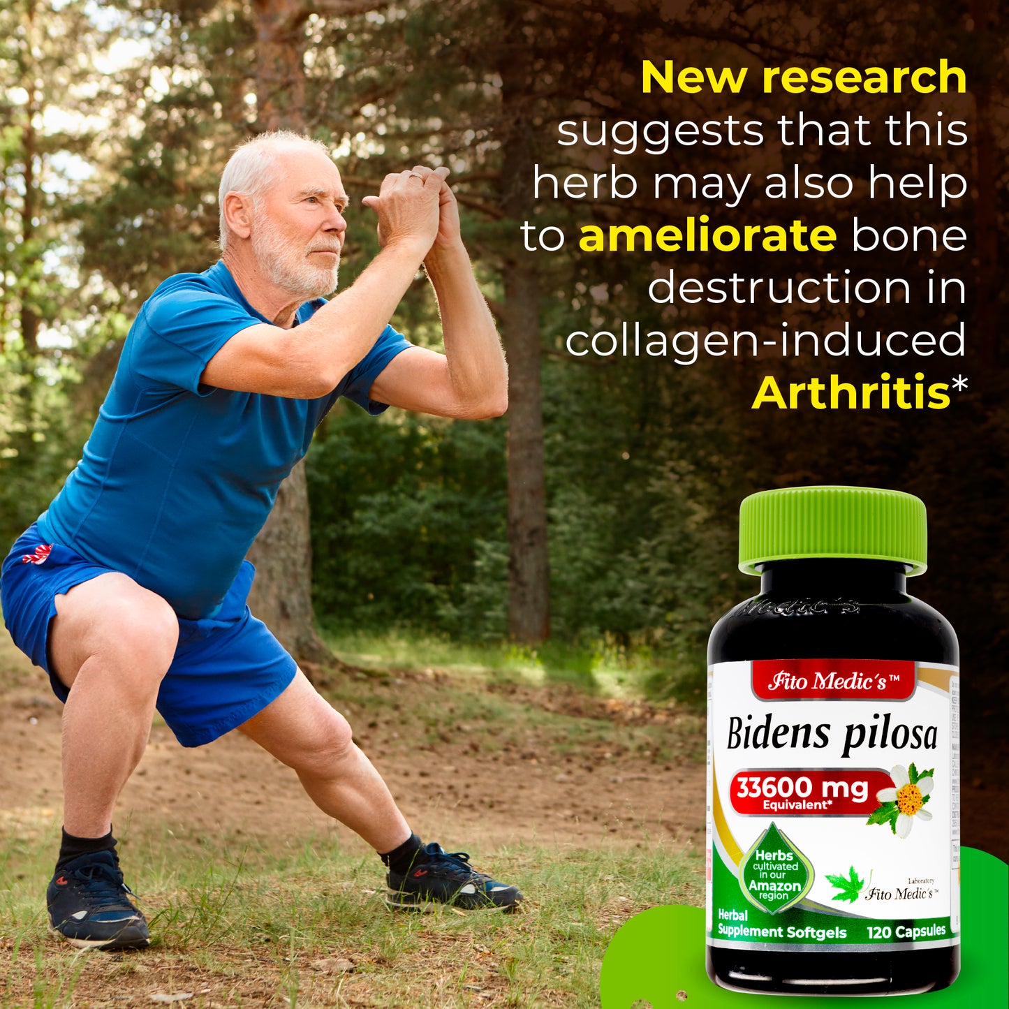 Bidens Pilosa - 120 capsules - Ultra High Absorption