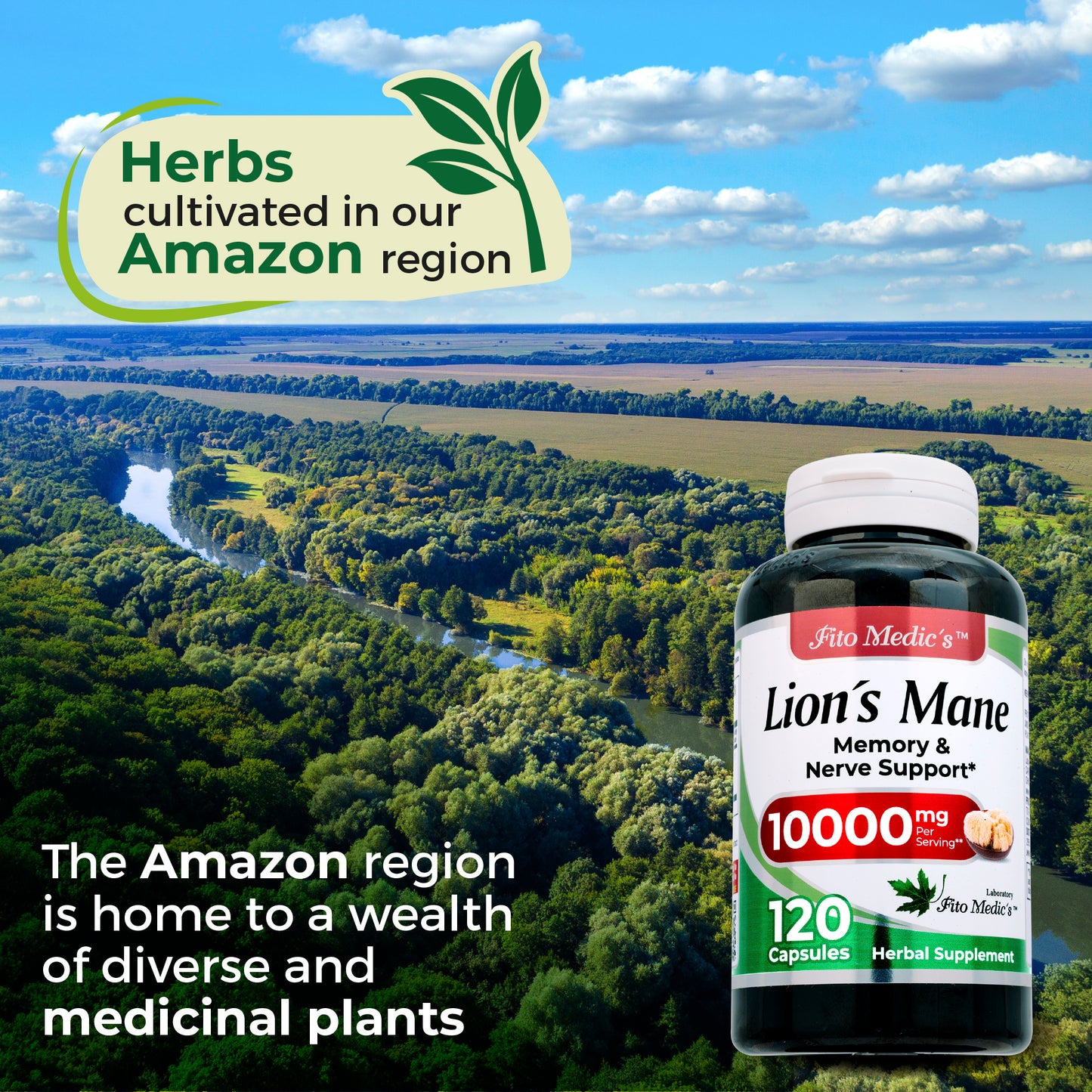 LIONS MANE 10000 mg Ultra High Absorption 120 Capsules