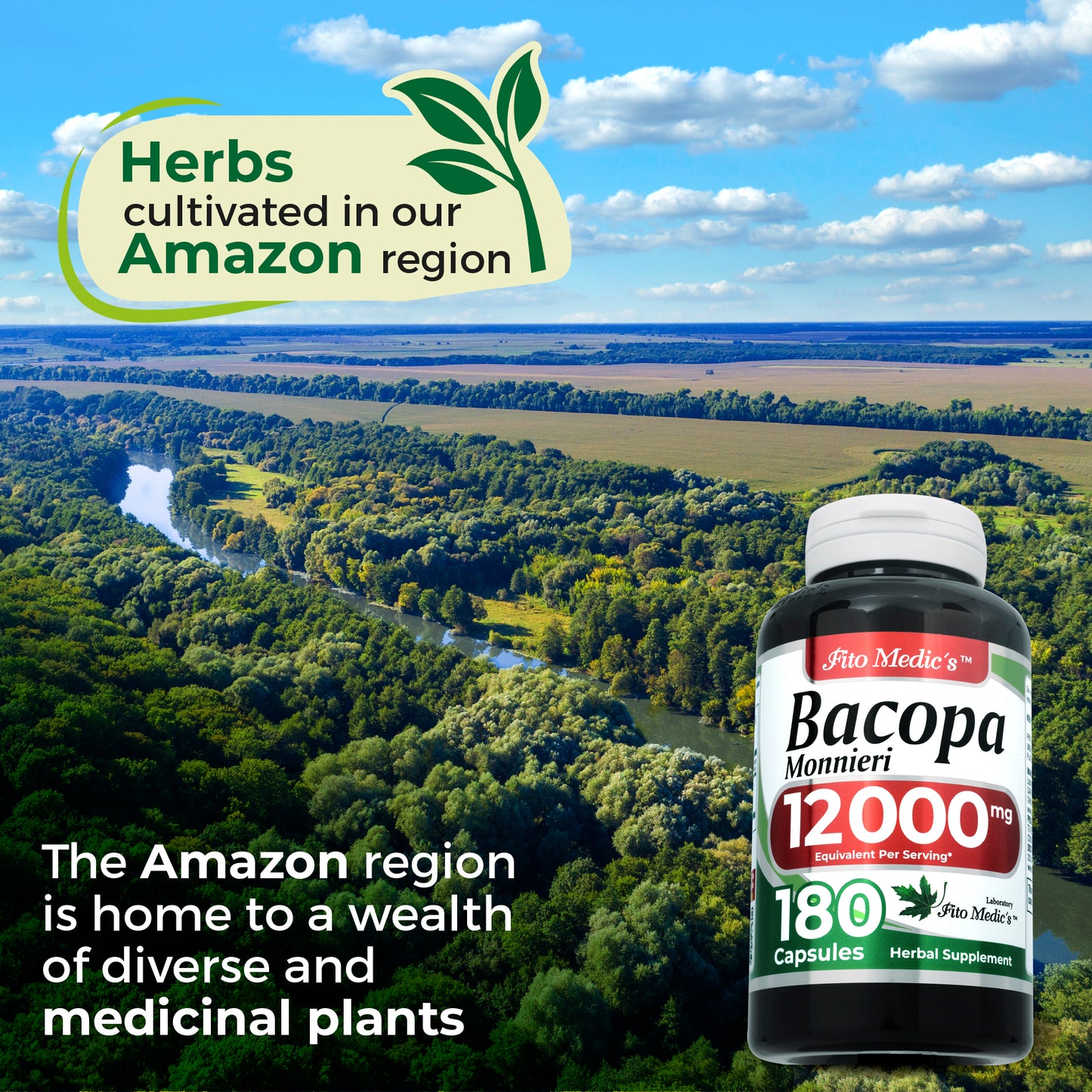 Bacopa Monnieri Capsules Organic | 12000 mg per Serving | 180 Capsules