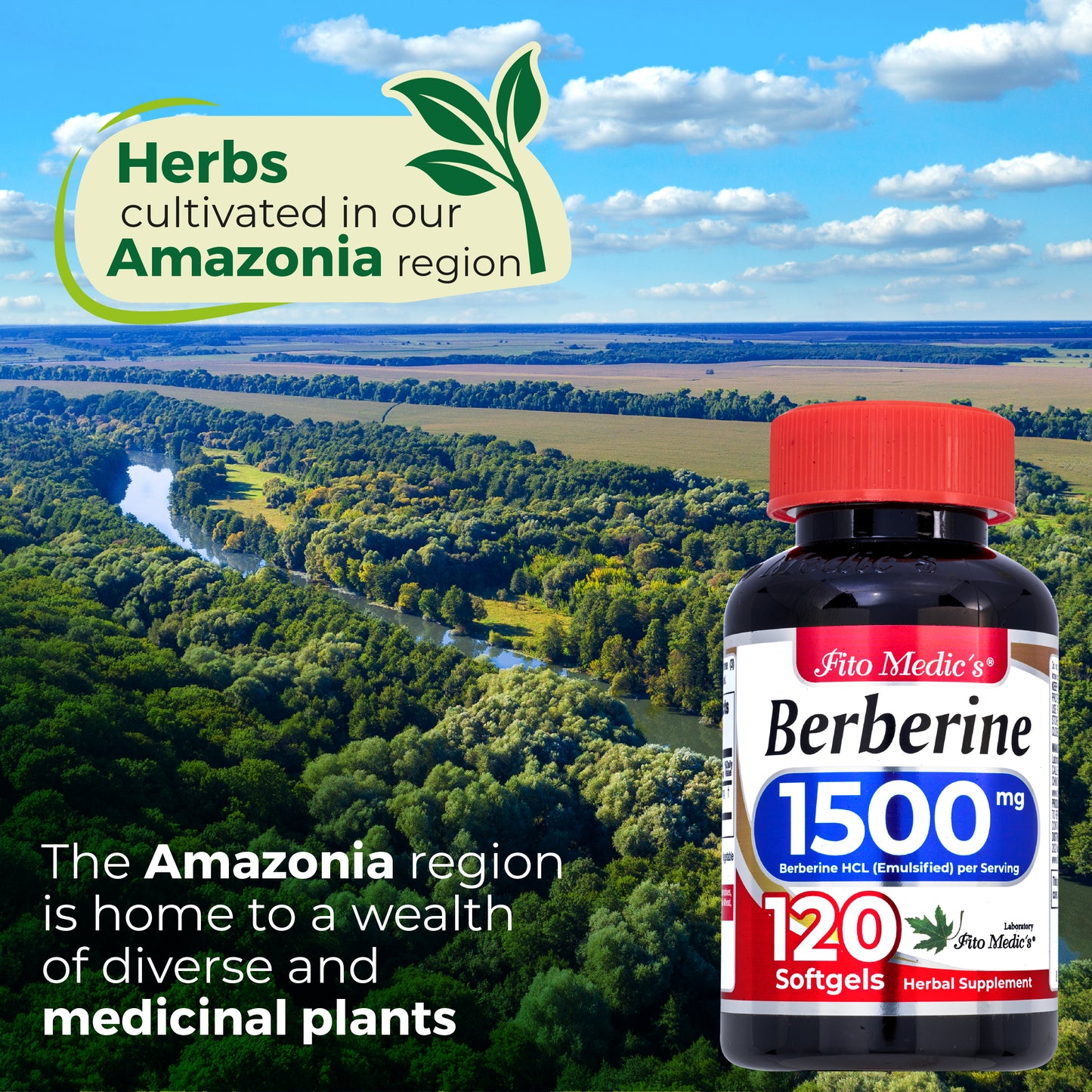 FITO MEDIC'S Lab | Berberine Capsules | 120 Softgels