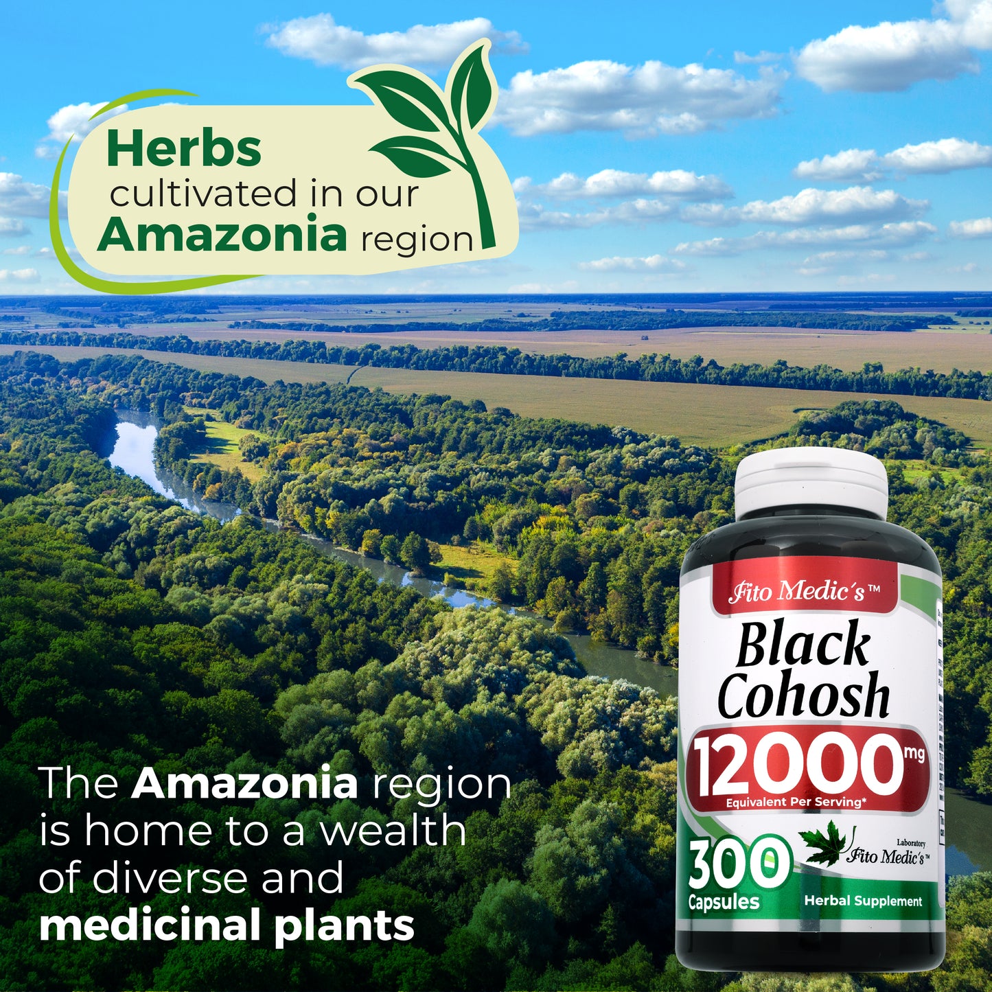 FITO MEDIC'S Lab | Black Cohosh |300 Capsules | Black Cohosh Root | Black Cohosh Capsules | Concentrate Extract