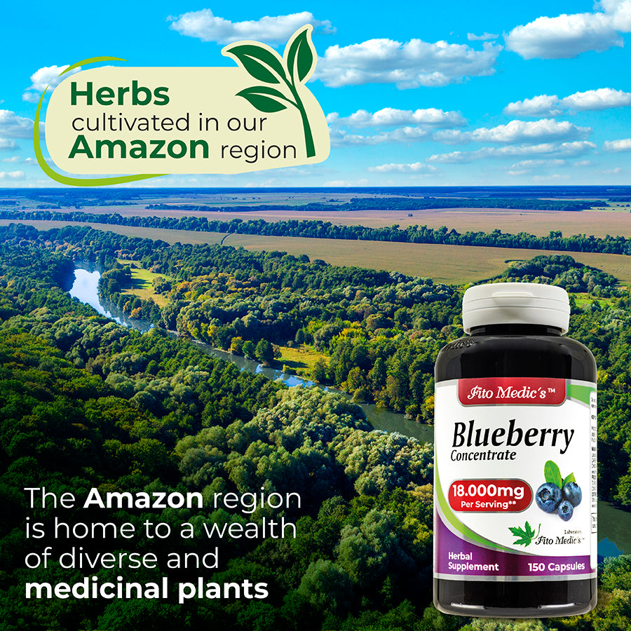 Blueberry Extract | 120 Capsules | Concentrated Extract | Highly Absorbable Herbal Supplement