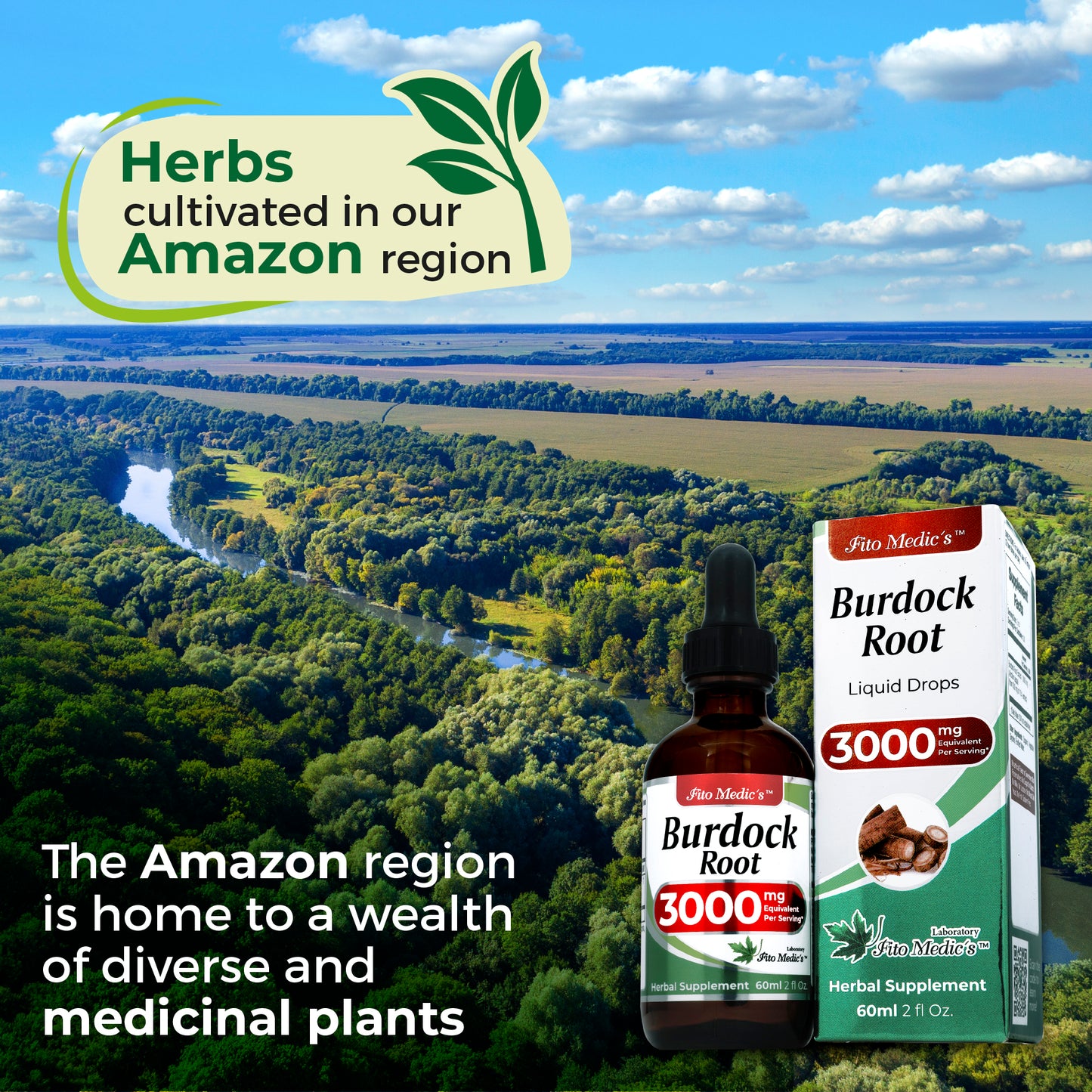 Burdock Root Extract 3000 mg, Alcohol Free Herbal Supplement, 2 fl oz