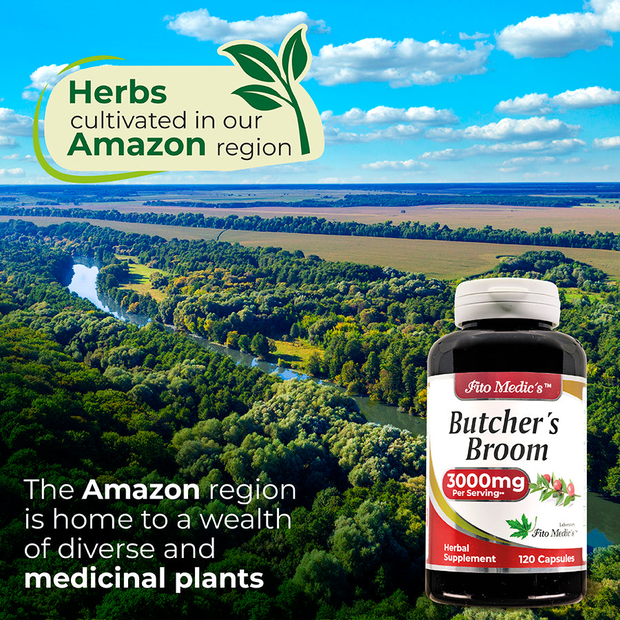 Butcher´s Broom - 120 Caps - 3000 mg per serving - Ultra High Absorption