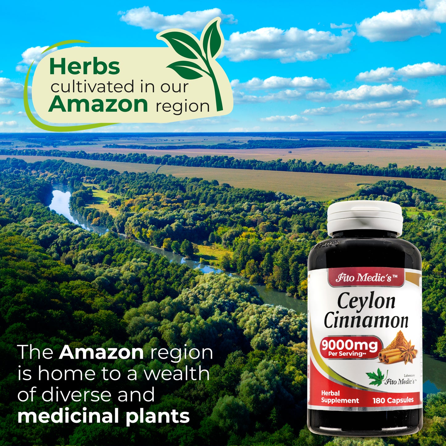 Ceylon Cinnamon Extract 9000 mg Ultra High Absorption 180 Capsules