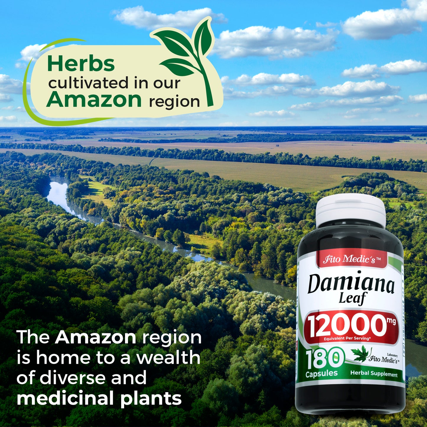 Damiana - 180 Capsules - 12000 mg per serving - Ultra High Absorption