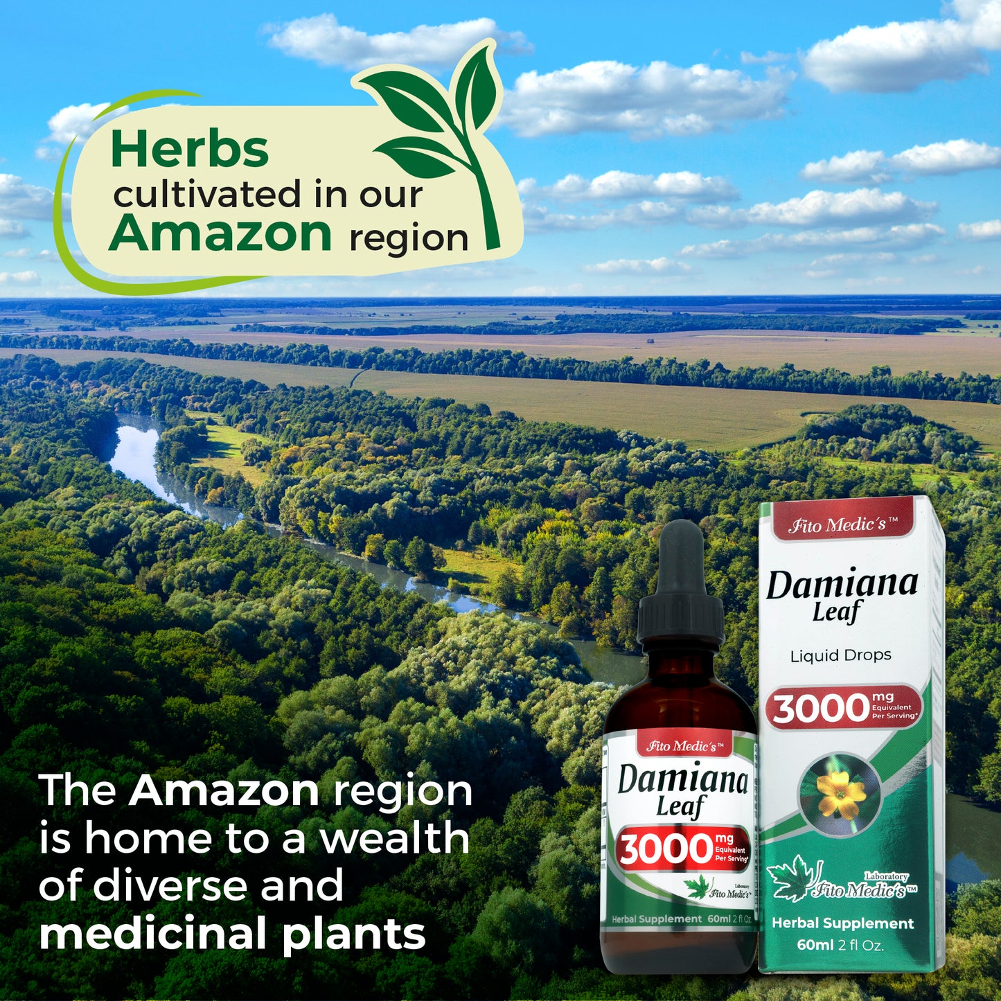 Damiana Leaf Extract 3000 mg, Alcohol Free Herbal Supplement, 2 fl oz
