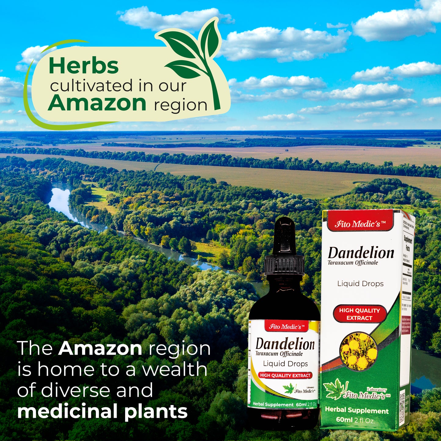 Dandelion Drops Extract 60ml Ultra high Absorption