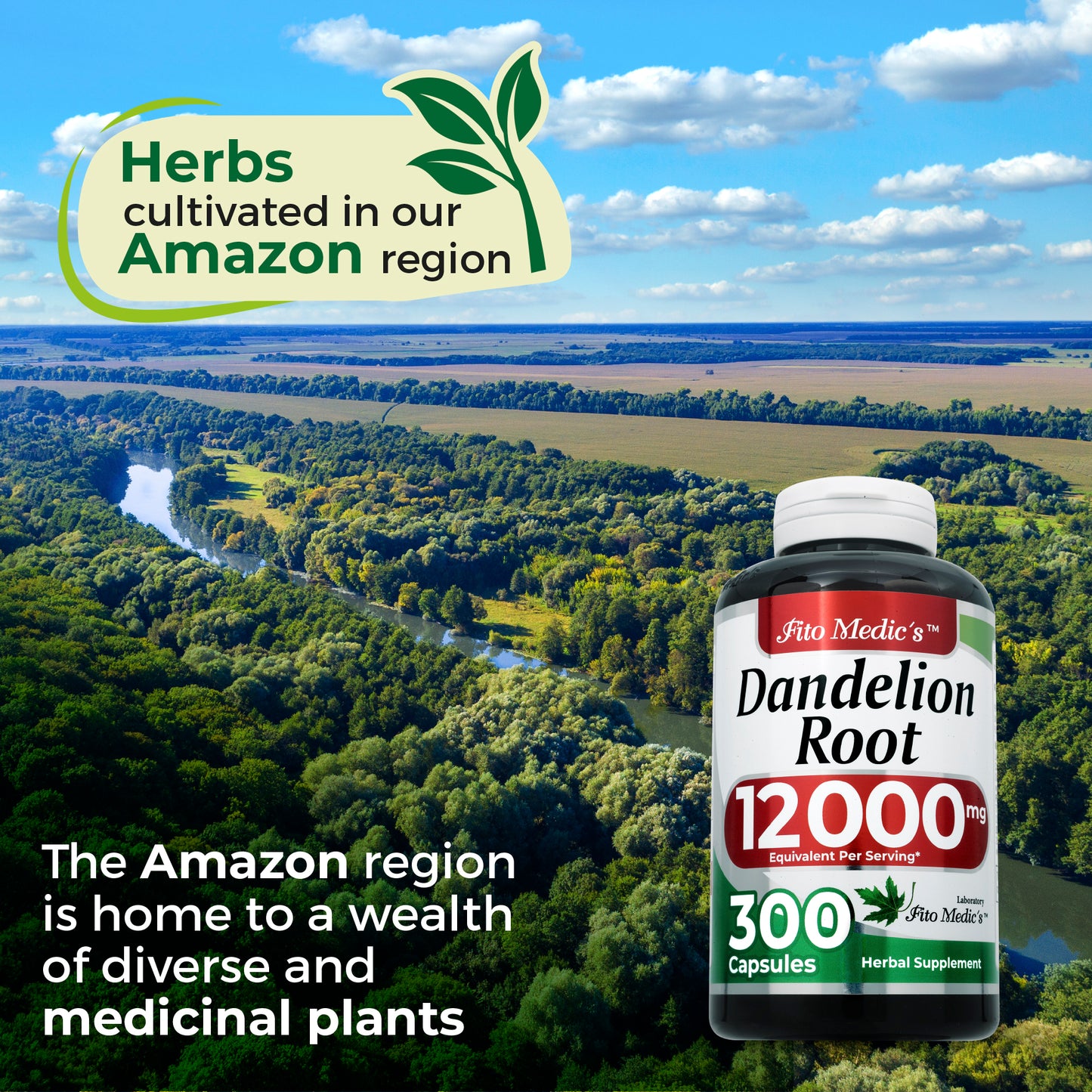 Dandelion Root - 300 Capsules - Concentrated Extract - Highly Absorbable Herbal Supplement