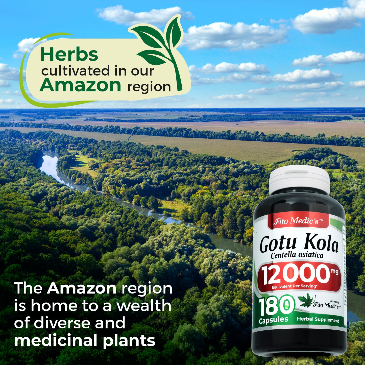 Gotu Kola | Centella Asiatica | 600 mg 20:1 per Serving | 180 Capsules