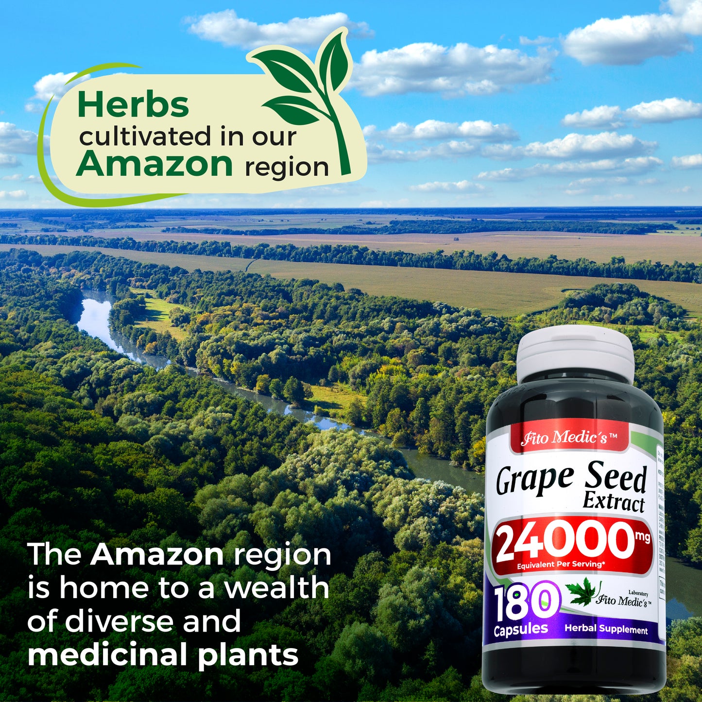 Grape Seed Extract - 24000 mg per serving -  180 Capsules - Ultra High Absorption