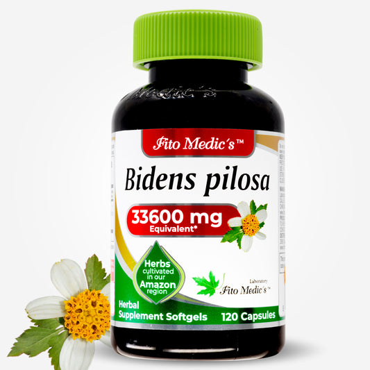 Bidens Pilosa - 120 capsules - Ultra High Absorption