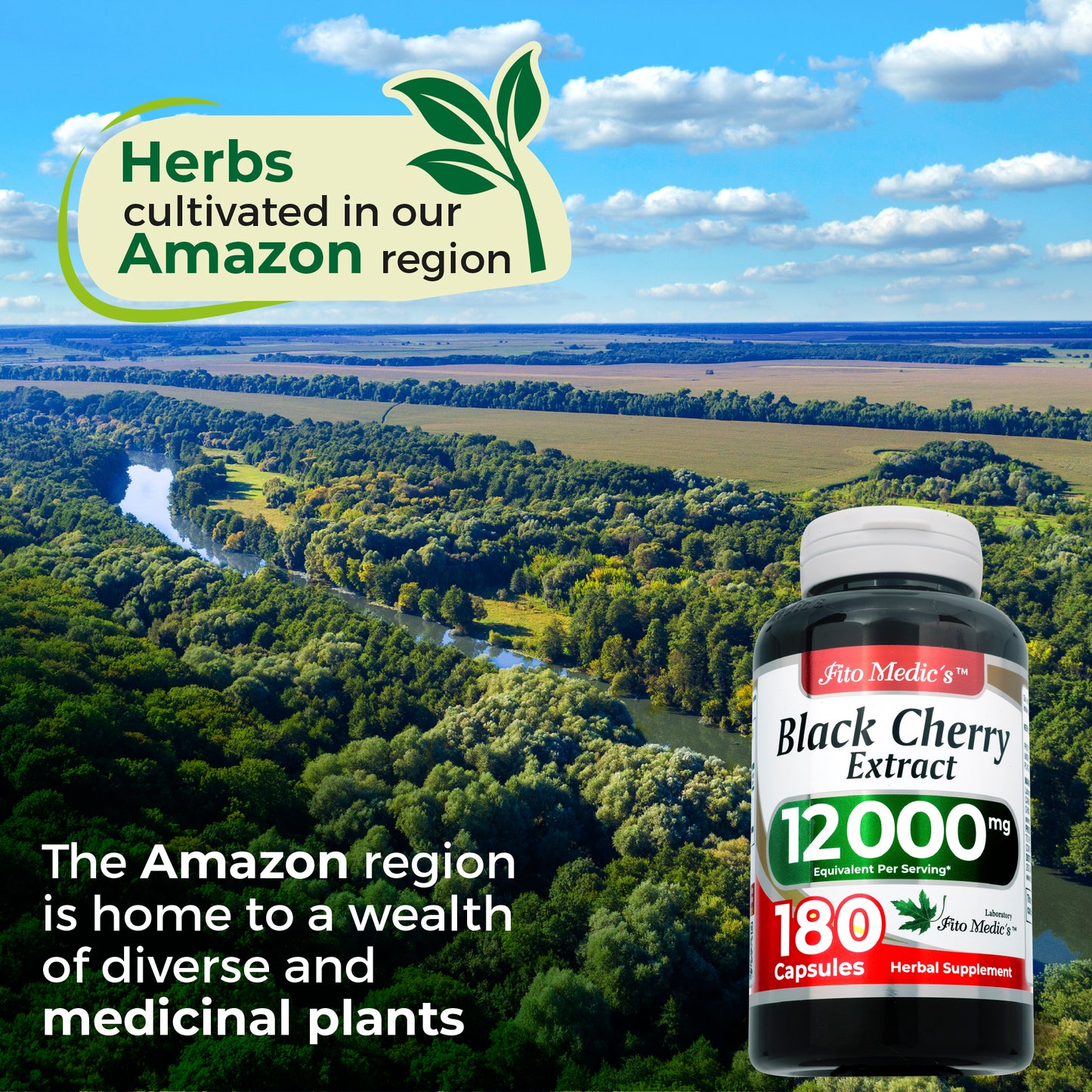 Black Cherry Extract 12000 mg Ultra High Absorption 180 Capsules