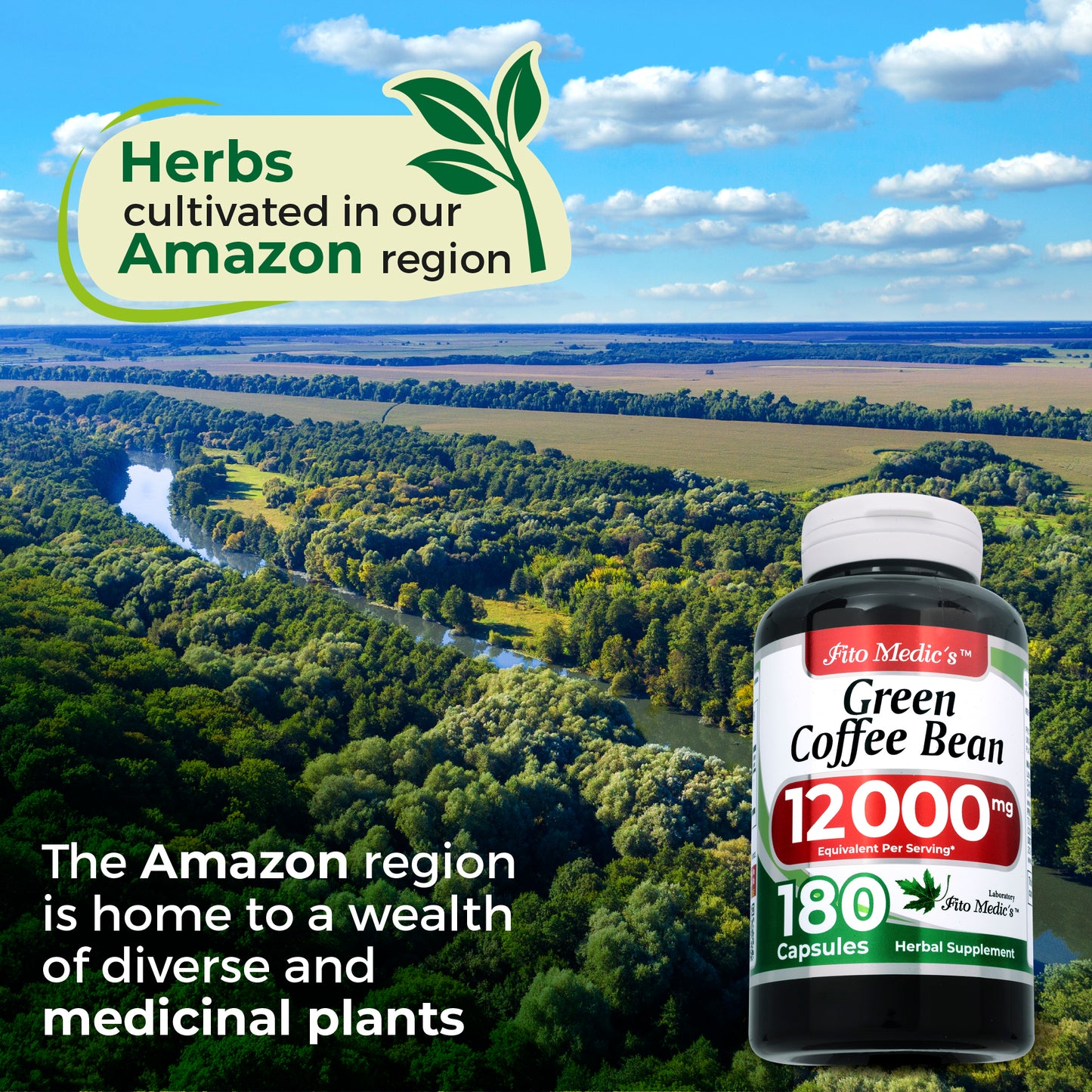 Green Coffee Bean Extract  12000 mg Ultra high Absorption 180 Capsules