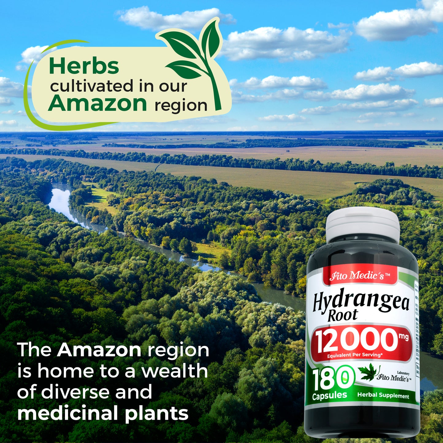 Hydrangea root 12000 mg Ultra high Absorption 180 capsules